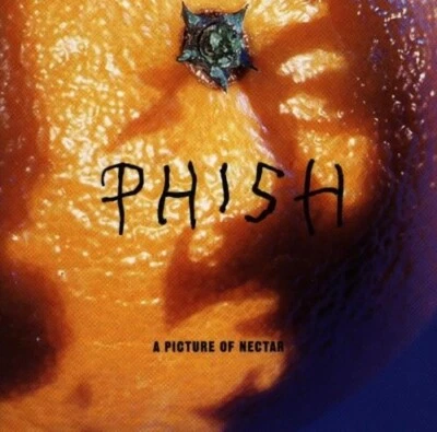 PHISH - A Picture Of Nectar 2 x LP Grape Apple COLORED VINYL ALBUM - NEW RECORD - Image 1 of 3