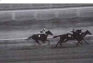 BALMORAL Rennbahn 1965 | *KAUAI KING* 16mm Filmrolle Pferderennen Ford Stables - Bild 1 von 4