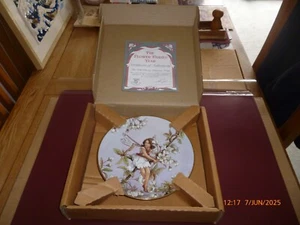 GRESHAM WILD CHERRY BLOSSOM FAIRY CICELY MARY BARKER PLATE BOXED/CERTIFICATE - Picture 1 of 6