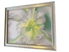 LARGE An Orchid 1941 By Georgia O&#39;Keeffe 31x25 BEAUTIFUL CLASSIC VTG