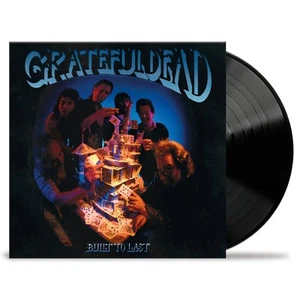The Grateful Dead Built to Last (Vinyl) 12" Album - Picture 1 of 1