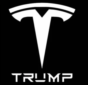 Trump Tesla Vinyl Decal Sticker Window Truck Car Laptop Tumbler - Picture 1 of 4