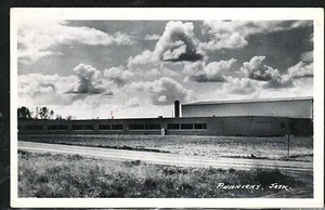 (3485) 1973  PHOTO P/C PUNNICHY SASK   SCHOOL??   RPPC  - Picture 1 of 2