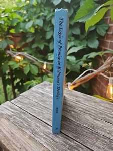 Vintage! Die Logik der Verheißung in Moltmanns Theologie Christopher Morse HC 1979 - Bild 1 von 13