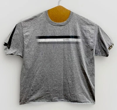 Camiseta Oficial Walt Disney World Hombre Por Hanes 2XL Gris Foto 1 de 4
