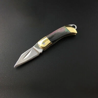 Mini cuchillo de bolsillo plegable de hoja real llavero mango de carcasa cuchillo de camping EDC Foto 1 de 4