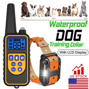 Collare USA addestramento cani 3000 piedi ricaricabile telecomando shock PET impermeabile addestratore - Foto 1 di 18
