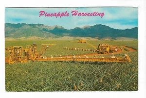 VTG Postcard Pineapple Harvesting, Hawaii - Picture 1 of 2