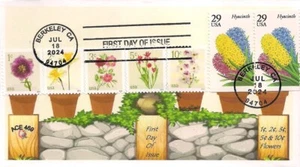 Flowers from Low Denomination sheets- (2024) FDC- ACE 469 - Picture 1 of 1
