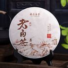 Biała organiczna herbata FuDing "Lao Shou Mei" High Mountain FuJian Bai Cha 350g