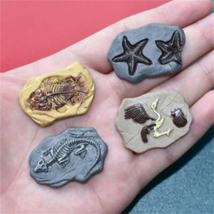 10 pcs Assorted Imitation Fossils Resin Embellishments DIY Crafting Decors 2-3cm - Picture 1 of 8