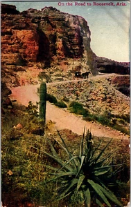 Roosevelt Arizona On the Road 1909 Postcard 93 Woman's World Posted Horse Drawn - Picture 1 of 9