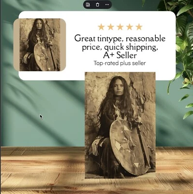 Индейский тонип ограниченный выпуск музейная серия C00280RP - Изображение 1 из 3