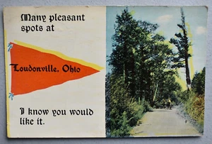 Rural Scene ~ Londonville Ohio Vintage 1913 Pennant POSTCARD - Picture 1 of 2