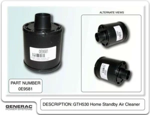 Generac 0E9581 - Guardian Luftfilter 10kW GTH530 HSB - Bild 1 von 1