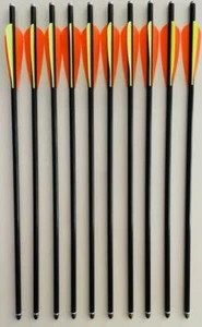 10 Glasfiberbolzen 20" mit Alu-Nock 8,8 mm Armbrustbolzen Compoundarmbrust  - Bild 1 von 4