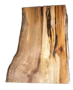 FIGURATO LEGNO DI MIRTO TORNITURA VUOTA LAVORAZIONE DEL LEGNO CIRCA 15x12x2 IN - Foto 1 di 3