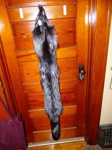 ENORME HERMOSO ZORRO PLATEADO bronceado piel piel piel piel taxidermia S5 hombre cabaña de troncos cueva - Imagen 1 de 4