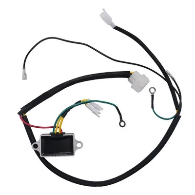 Rasenwerkzeug Upgrade einfache Installation Spannungsregler mit komplettem Kabel - Image 1 of 4