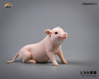 JXK 1/6 Mała Świnka Figurka Mini Model zwierzęcy Kolekcjoner Dekoracja GK Prezent Zabawka
