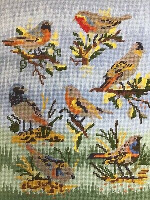 Needlework Wool Tapestry - 6 Birds - Completed 15” X 11.5” • 8£