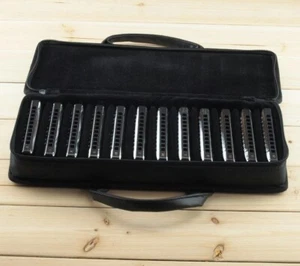 EASTTOP 10-Loch Mundharmonika Set 20Tone Diatonic Blues Mundharmonika Set Blues Harfe Set - Bild 1 von 12