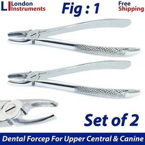 Figura 1 de extracción dental X2 para incisivos superiores y fórceps quirúrgicos dentales caninos - Imagen 1 de 7