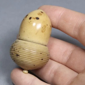 Antique 19th Century Carved Tagua Nut Vegetable Ivory Acorn Thimble Case Box. - Picture 1 of 7