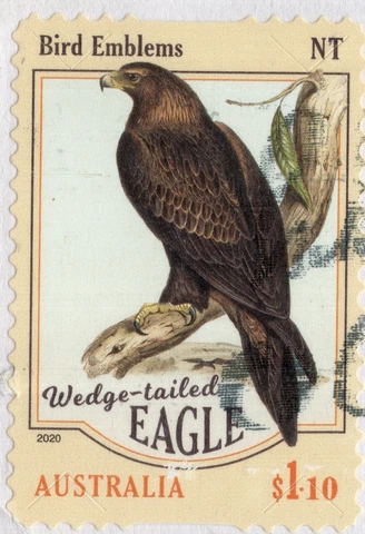 2020 AUSTRALIA WEDGE-TAILED EAGLE NT BIRD $1.10 stamp used on piece Cover
