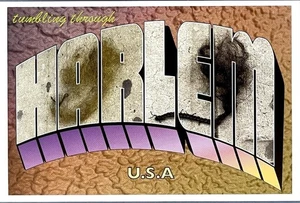 Kunst Postkarte Studio Museum Harlem - PAMELA COUNCIL Foto Tumbleweaves - Bild 1 von 3