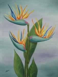 Original Ölgemälde, Paradiesvogel, 16" x 20" - Bild 1 von 1