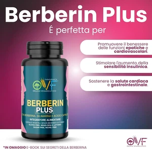 Berberina HCL 600Mg antiossidante Assorbimento Con Silimarina Da Cardo Mariano - Foto 1 di 7