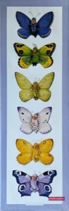 Anne Geddes Butterfly Babies Vintage Photography Slim Print 12 x 36 - Picture 1 of 5