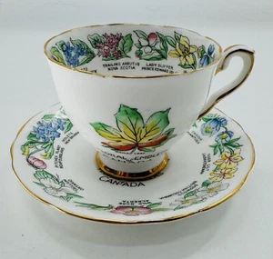 Royal Stafford Floral Emblems Of Canada Teacup & Saucer VTG Bone China England - Picture 1 of 12