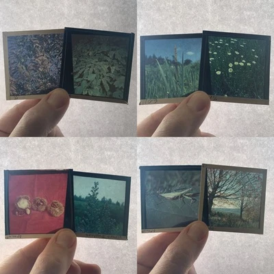 HUGE 470+ Vintage Glass Slide Photo Lot Nature Flowers Mushroom Fungi Plants - Image 1 of 4