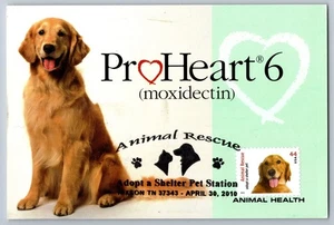#4455 Adopt a Pet Dog Golden Retriever FDC Maxi Card - Picture 1 of 2