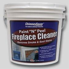 SaverSystems 291028 Paint in. N in. Peel Fireplace Cleaner