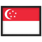 Singapore National Flag World Flags Country Poster Framed Art Picture Print A4