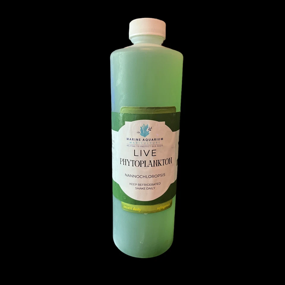 Fitoplancton EN VIVO NANOCLOROPSIS - Botella de 16 oz ENVÍO RÁPIDO Foto 1 de 1