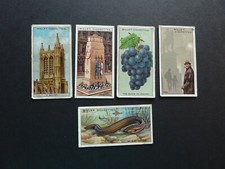 CIGARETTE  CARDS  DO YOU KNOW      W D & H O WILLS  5 CARDS LOT 1