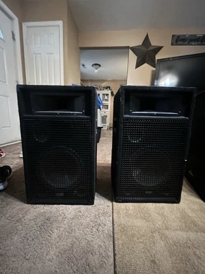 2 altavoces pasivos Acoustic Audio Br-10s Foto 1 de 4