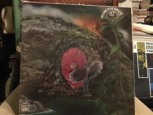 RIOT  * WELCOME TO THE WORLD * MOTOWN * LP  * 1974  - Picture 1 of 4