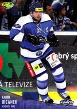 2012-13 Czech OFS #116 Radim Bicanek