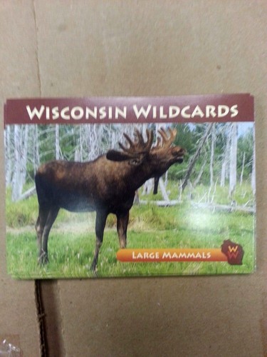 WISCONSIN WILDCARDS, MOOSE, LARGE MAMMALS, 3-1/2
