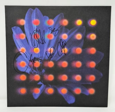 Anberlin Nevertake Grey Marble Signed Autographed Vinyl LP IN HAND [BRAND NEW!] - Imagem 1 de 4