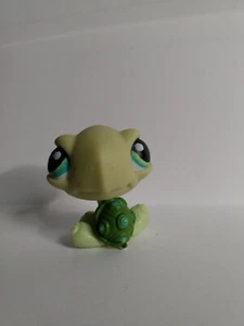 Authentic littlest pet shop Turtle (#321) - Picture 1 of 6