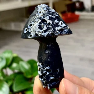 70G Natural Gobi Thousand Eyed Agate mushroom Shape Reiki Chakra Healing - Picture 1 of 19