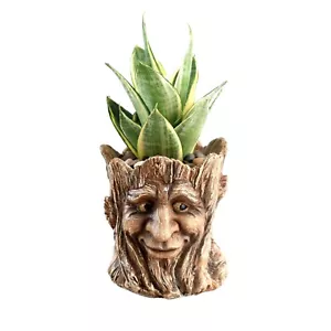 Funny Planter Head Face Plant Pot with Drainage Hole Resin Succulent Plant Ho... - Picture 1 of 8