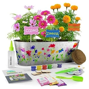Paint & Plant Flower Growing Kit for Kids - Best Birthday Crafts Gifts for  - Picture 1 of 7