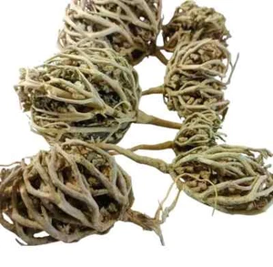 (75g) Blume von Maryam Keusche Baum Kräuter Palme von Maria عشبة كف مريم - Bild 1 von 8